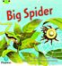 Bug Club Phonics  ?  Phase 5 Unit 27: Big Spider