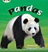 Bug Club Phonics Non-fiction Set 09 Pandas