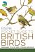 RSPB Pocket Guide to British Birds